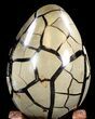 Septarian Dragon Egg Geode - Black Crystals #37292-3